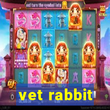 vet rabbit